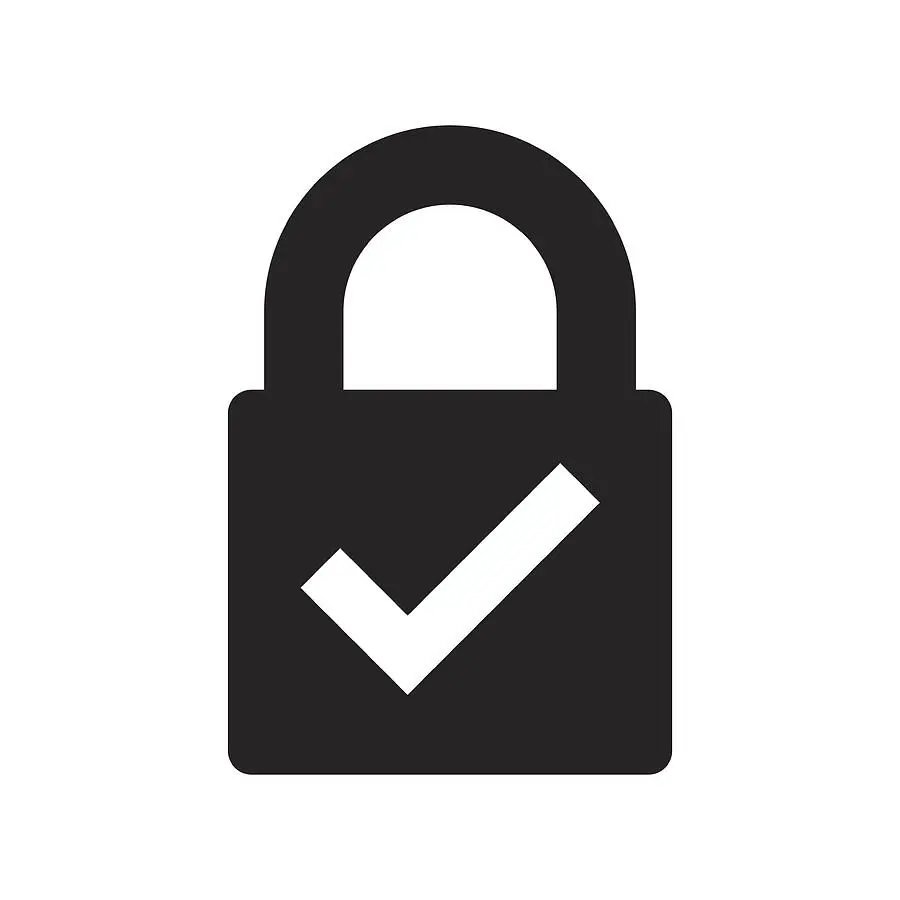 secure-icon-padlock-icon-isolated-vector-elvinagraph